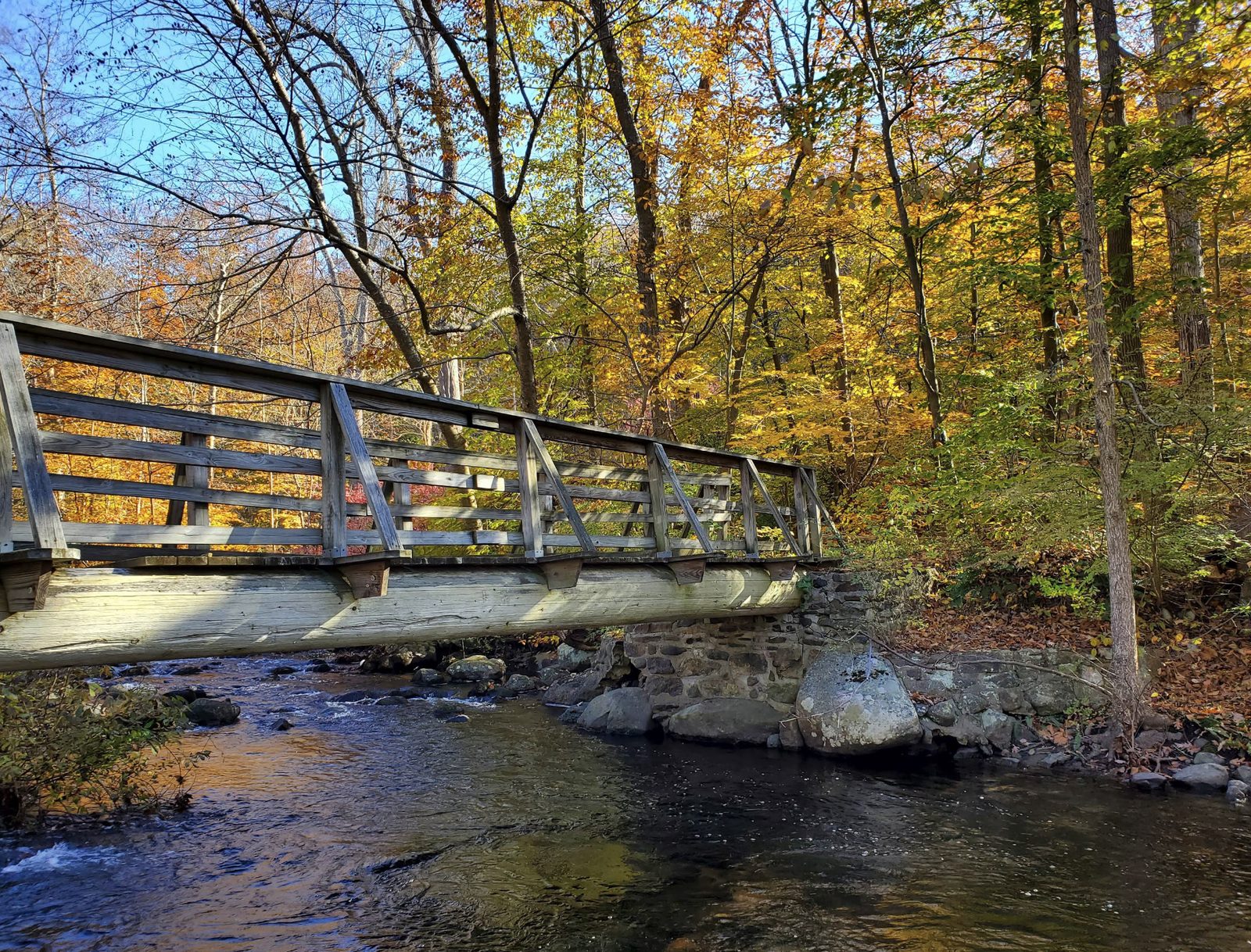 Ringwood State Park